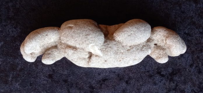 Ghost Crab crab-fossils