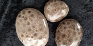 what-are-petoskey-stones