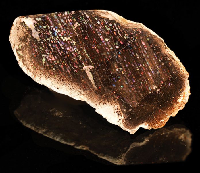 royal-peacock-opal-mine-3 royal-peacock-opal-mine