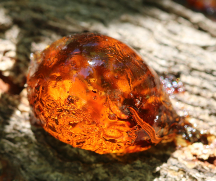 Amber Crystal amber-stone
